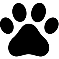 D&yacute;rahald