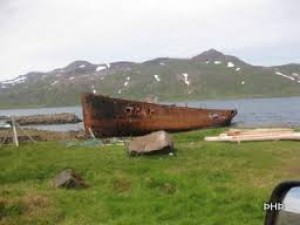 ATH. S&Yacute;NISHORN. MYNDIN TENGIST EKKI &THORN;ESSARI J&Ouml;R&ETH;.

H&eacute;r getur &thorn;&uacute; sett inn myndir af &thorn;v&iacute; sem &thorn;&uacute; vilt. 
t.d myndir af fj&ouml;lskyldunni, h&uacute;sakosti &aacute; &thorn;inni j&ouml;r&eth;, lanslaginu e&eth;a v&eacute;lunum sem nota&eth;ar eru &aacute; b&uacute;inu.